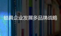 快排公司十年历程，霸屏兔 seo 的崛起与坚守