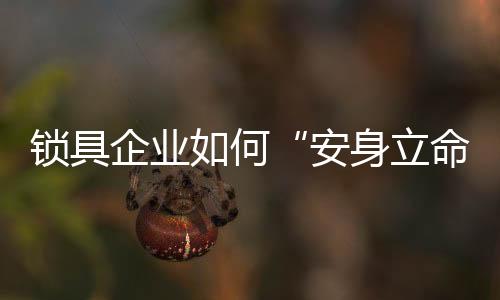 安身立命以机械插芯锁为例