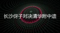 快排公司十年历程，霸屏兔 seo 的崛起与坚守
