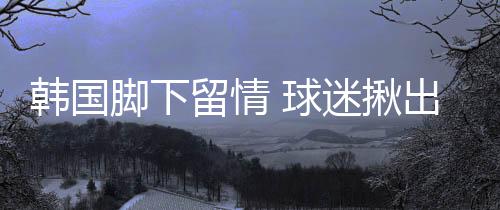韩国豪塞节奏太慢了