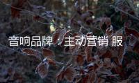 音响品牌	：主动营销 服务先行