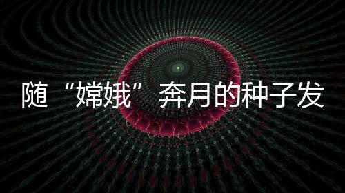 经历此次深空空间诱变实验