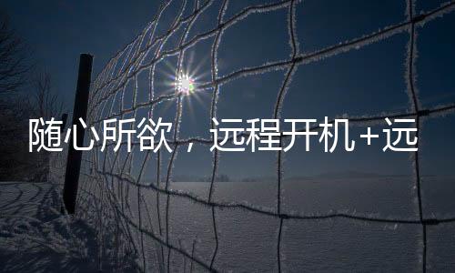 整个机身仅有一枚按键