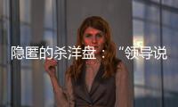 隐匿的杀洋盘
�：“领导说是帮外国用户保管虚拟币”