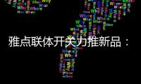 雅点联体开关力推新品：拉丝黑开关