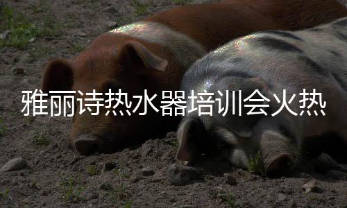 搭建起第三方售后服务体系