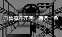 雅鲁藏布江底，有条“鱼”在凝望沙的迁徙