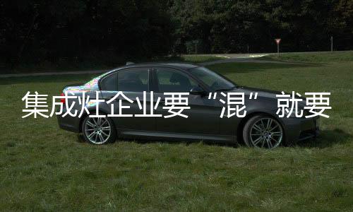 反而更注重集成灶品牌