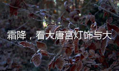 无论是霜降在大自然