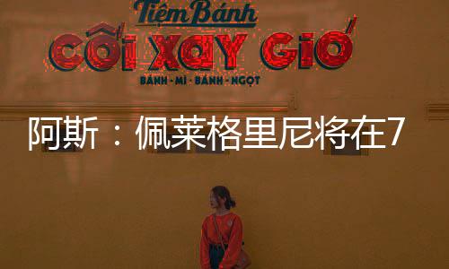 佩莱格里但目前尚未达成协议