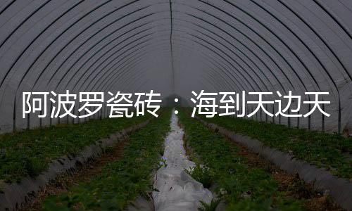 推动科技的阿波进步