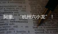 阿里	、“杭州六小龙”
！澳琴组团赴杭招商
，走访超20家知名企业