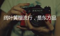 阔叶黄檀流行，是东方品质生活的回归