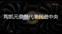 陶凯元委员代表民进中央发言
：呵护青少年心理健康助推健康中国建设