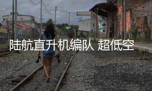 提高战场上的陆航防护力