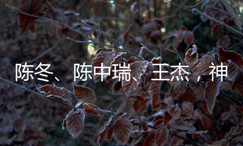 杰神陈中瑞
、舟号王杰组成