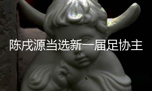 陈戌源今年63岁
