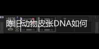 陈旧动物皮张DNA如何获取？ 最新研究称改良方法值得推广