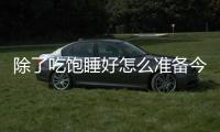 快排公司十年历程，霸屏兔 seo 的崛起与坚守