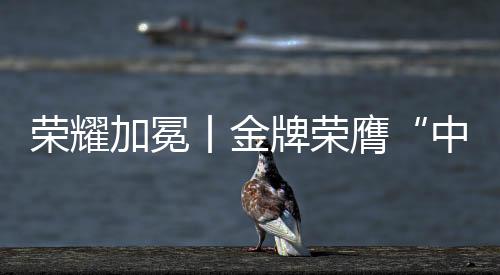 在时代的荣耀洪流中
