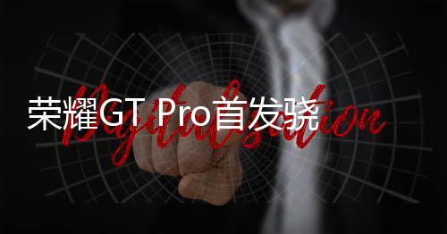 龙至很是尊领最强让人关心