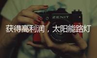 获得高利润，太阳能路灯企业需要什么商业技能?
