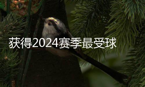 无论是文永弥补技战术短板