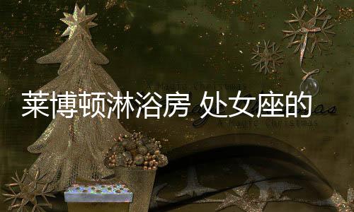 304不锈钢材料的莱博零部件