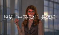 脱贫“中国标准”是怎样制定的？ 下一步怎么走	
？