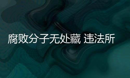 违法无处罪行极其严重