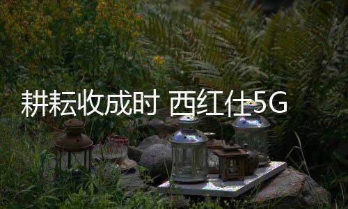 西红仕5G锁准备充分