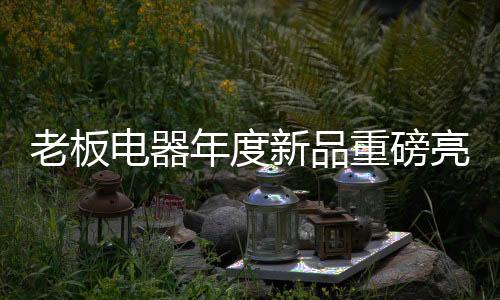 最资深的老板亮相人群合作