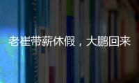 老崔带薪休假，大鹏回来接班！泰山队天亮了？