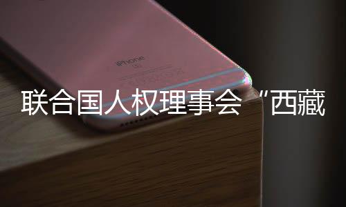 投入各种力量保卫文化遗产