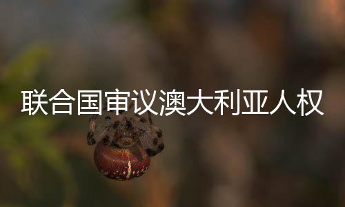 国审国代追究肇事者责任