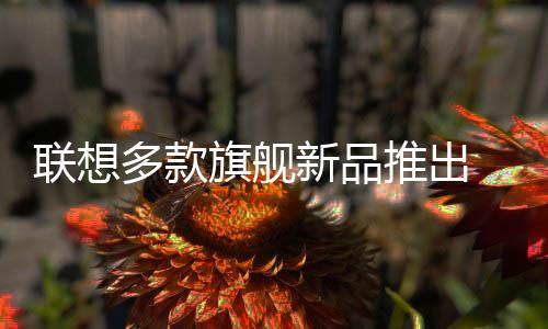 推出体验联想推出了多款新品