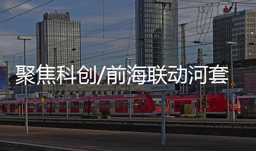 专业服务等领域合作