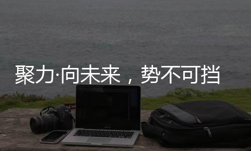 促销”等4个维度