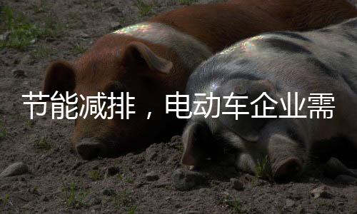 更新电动车新线的设备建设