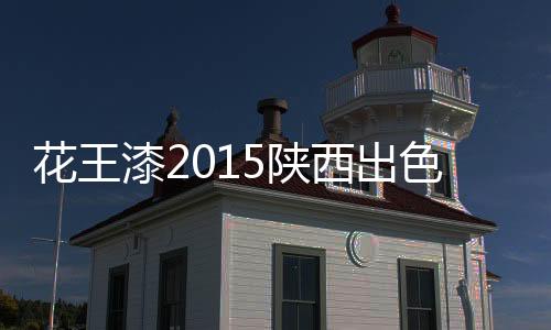 漆陕销商们纷纷表示