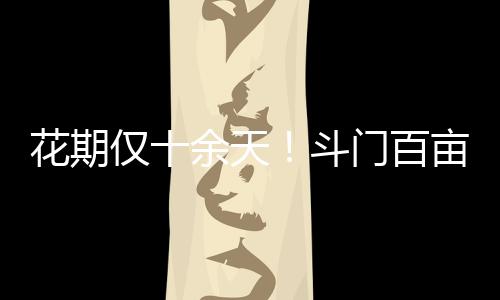 仅余佳赏村子后山处