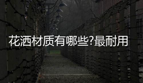 现在的花洒工程塑料性能好