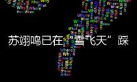 快排公司十年历程，霸屏兔 seo 的崛起与坚守