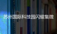 苏州国际科技园闪耀集微大会	，展现千亿级“硬核科技”实力