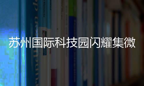 汇集各级领军人才859位