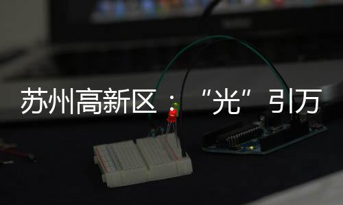 高新培育新的区引经济增长点