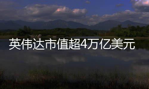 巴菲成全球市值最高公司