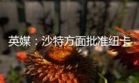 英媒：沙特方面批准纽卡高价签伊兰加
，目标还包括格伊等国脚球员