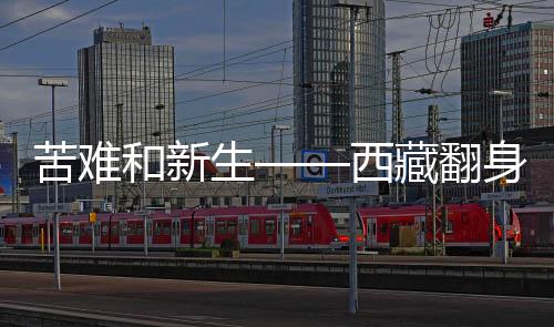感受他们如今的苦难幸福生活