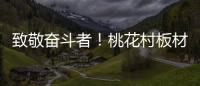 致敬奋斗者！桃花村板材以国标级环保守护每个家